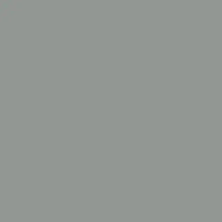 Linoleum Ash